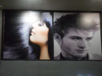 /album/galeria-de-fotos-pagina-inicial/coiffeur-no-morumbi-adesivo-perfurado-1-jpg/